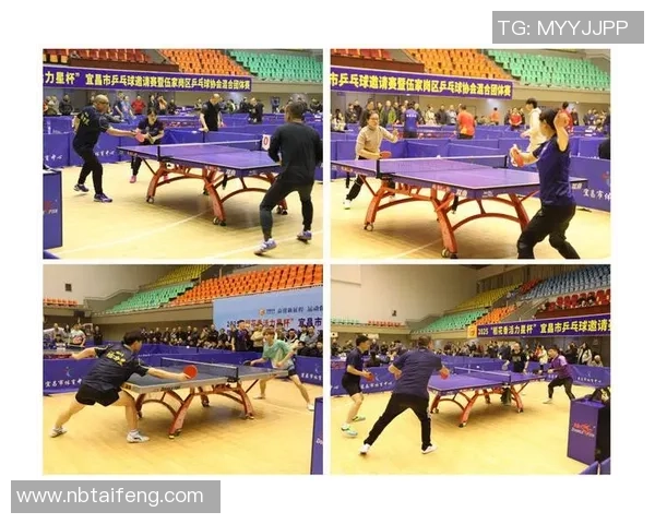 聚焦乒乓球：南京乒乓球队的团队协作话题
