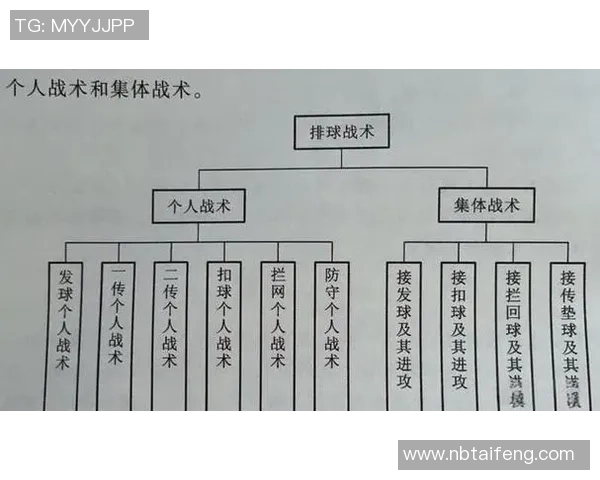 西安排球队防守战术深度分析与实战应用探讨